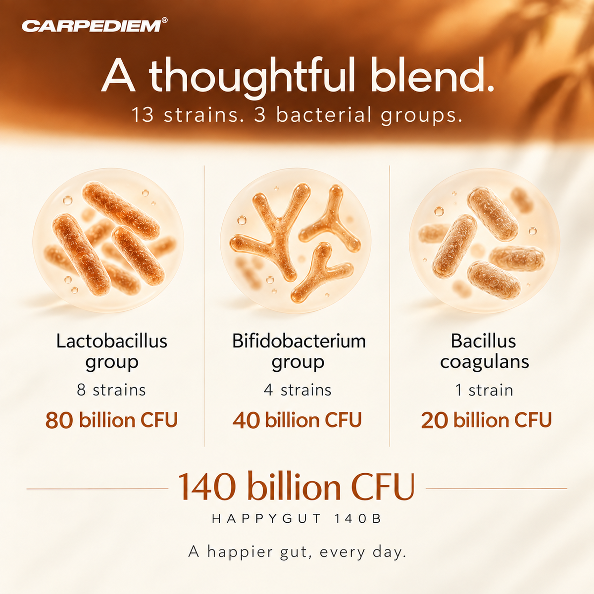 HAPPYGUT 140B