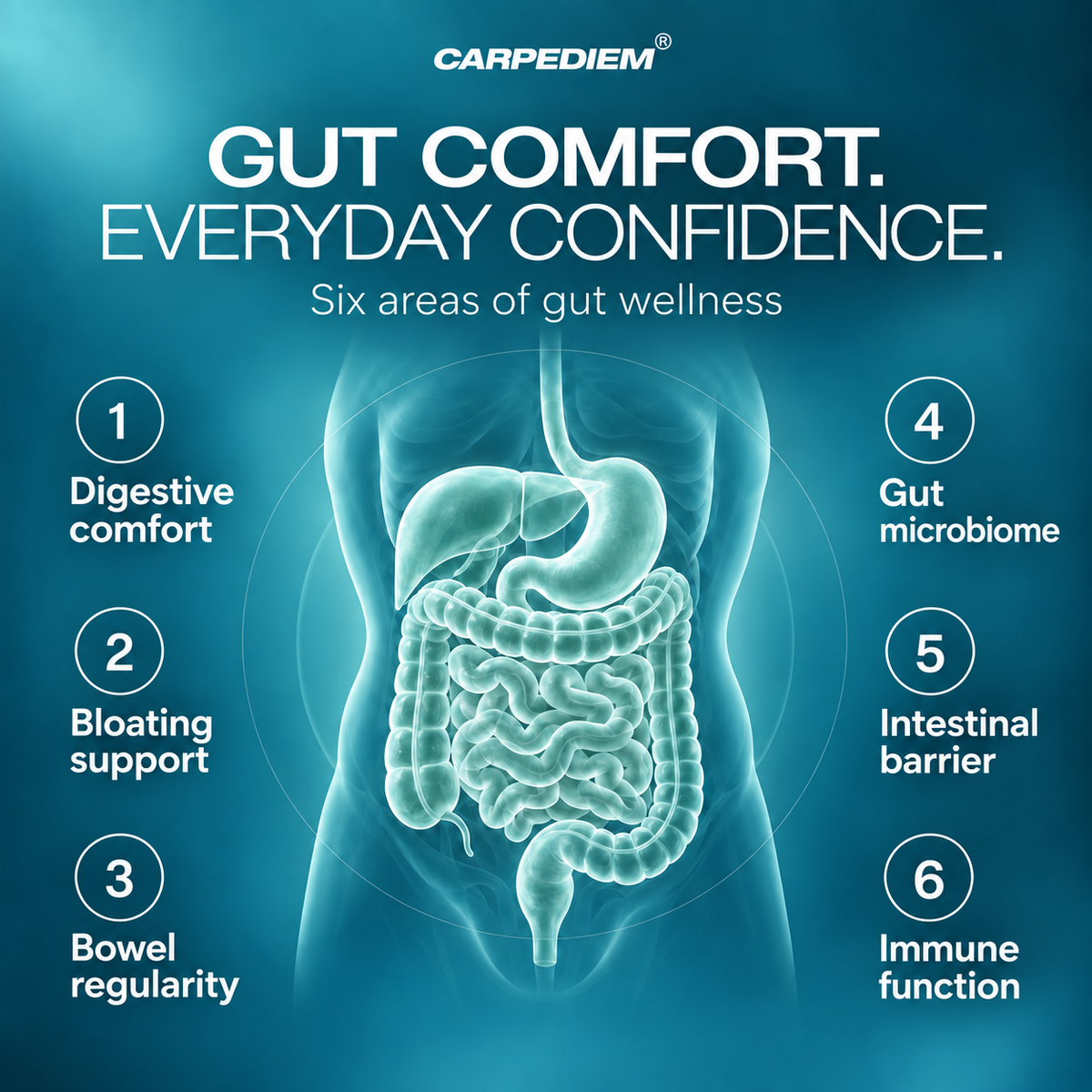 HAPPYGUT 70B