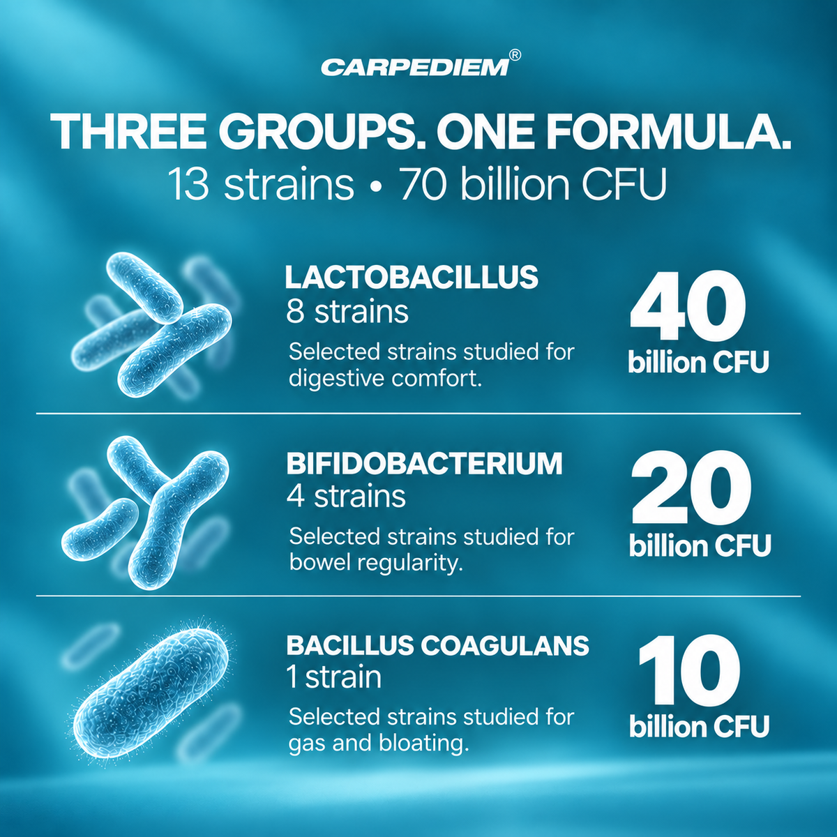 HAPPYGUT 70B