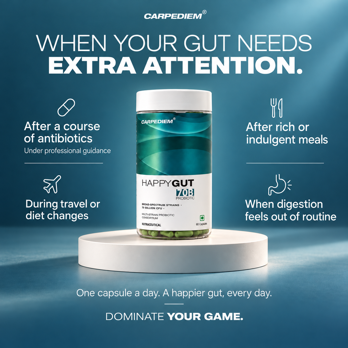 HAPPYGUT 70B